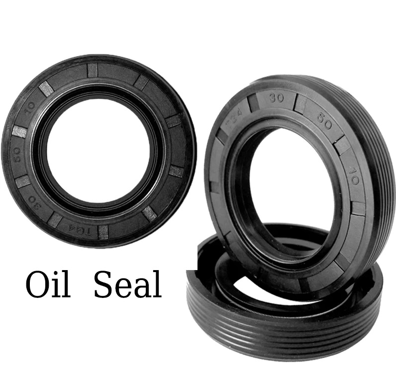 95x125x13 Oil Seal ( Rajson Mae)